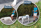 Instant Trainer
