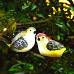 3 Pcs Solar-Powered LED Bird Light Set